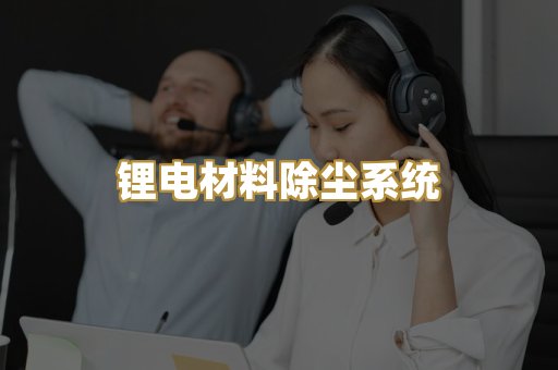 锂电材料除尘系统